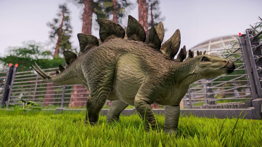 A stegosaurus walking in Jurassic World Evolution