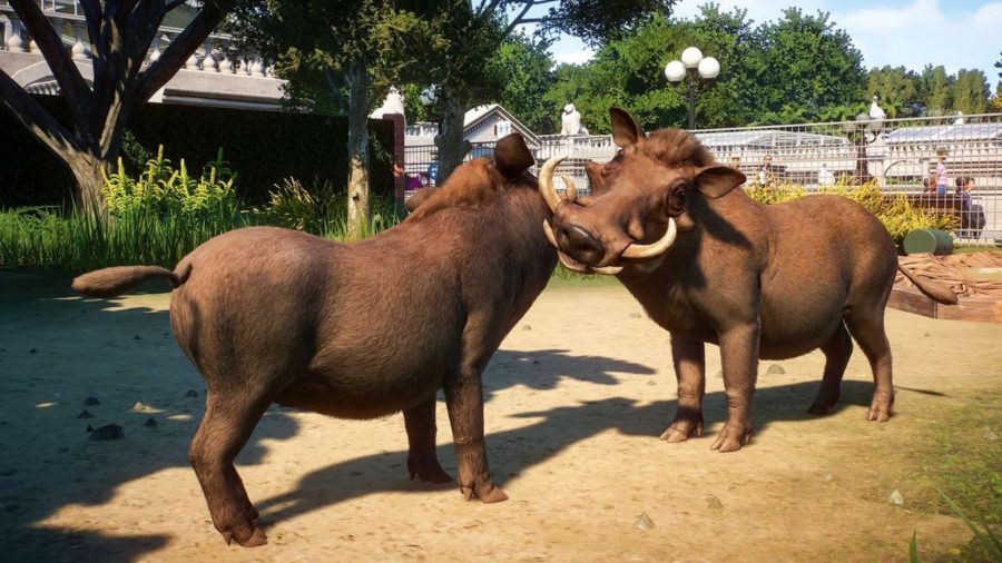 planet-zoo-animals-warthogs