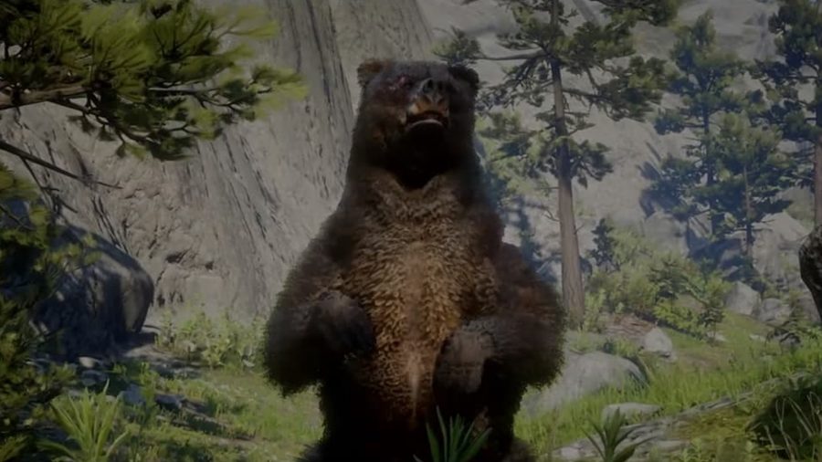 One of the bears you can hunt in RDR2