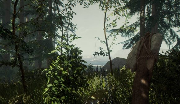 The Forest Pc News Pcgamesn