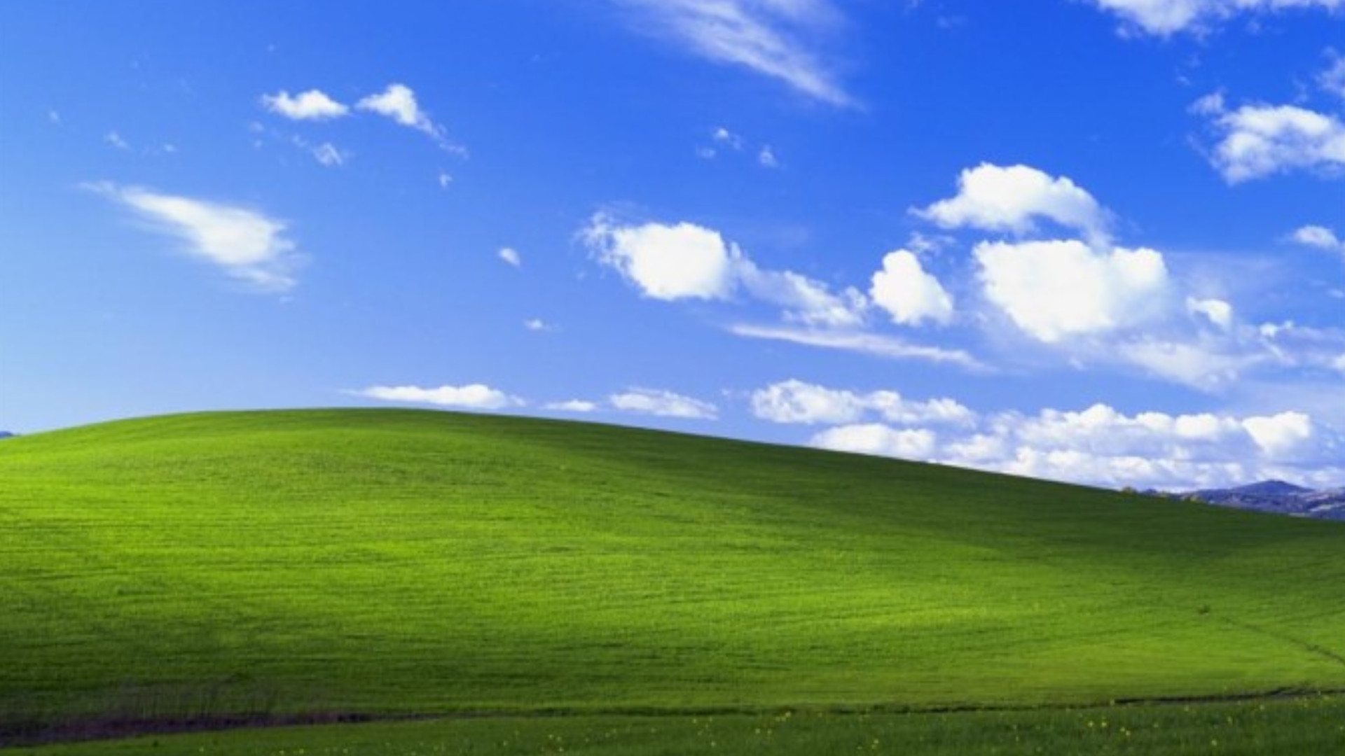 Windows XP source code is reportedly circulating the internet | PCGamesN