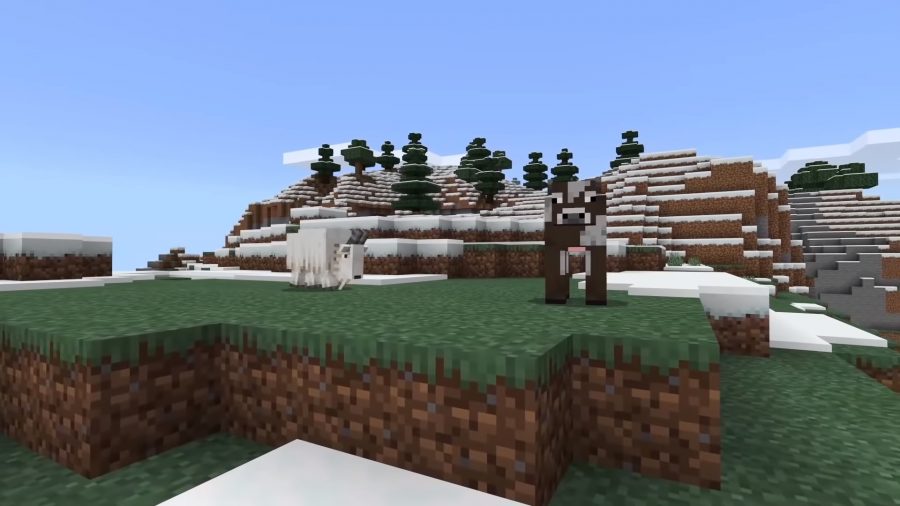 A goat in Minecraft is charging at a cow, who is unaware at the impending pain.