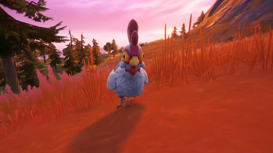 A chicken walking on a hill during sunset. It's one of the animals in Fortnite.
