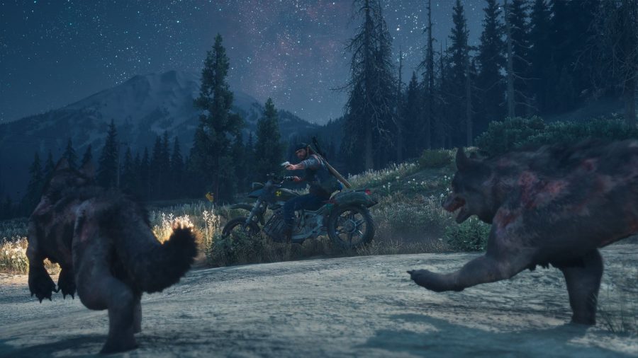 Two wolves running alongside Deacon's motorcycle in Days Gone on PC