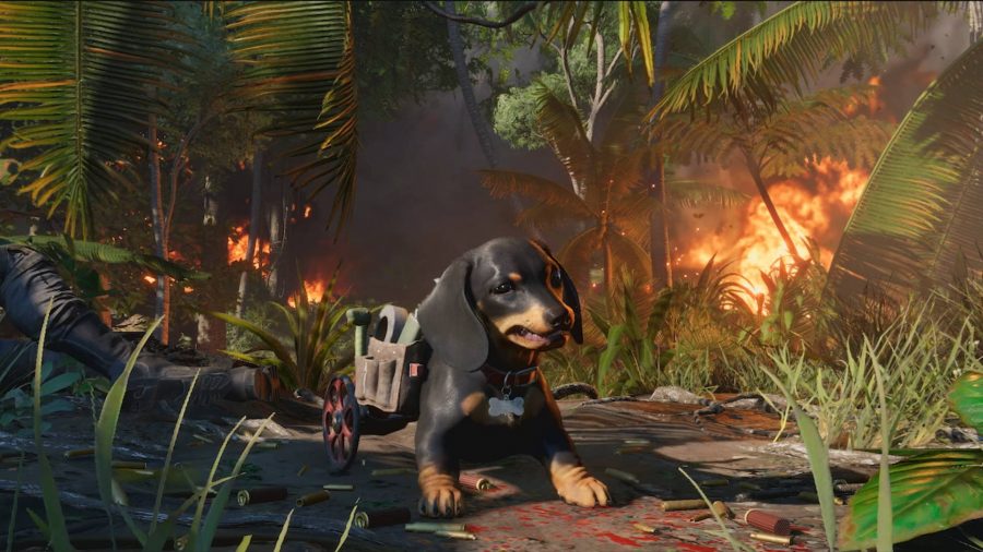 Chorizo, an adorable dachshund who has lost his hindquarters and now moves with the aid of a miniature wheelchair, is one of the player's amigos in Far Cry 6