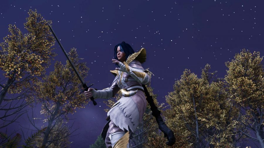 Holding a rapier in New World against a starry sky