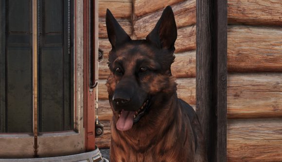 Dogmeat, the German shepherd companion from Fallout 4, appears in Fallout 76 thanks to a new mod.