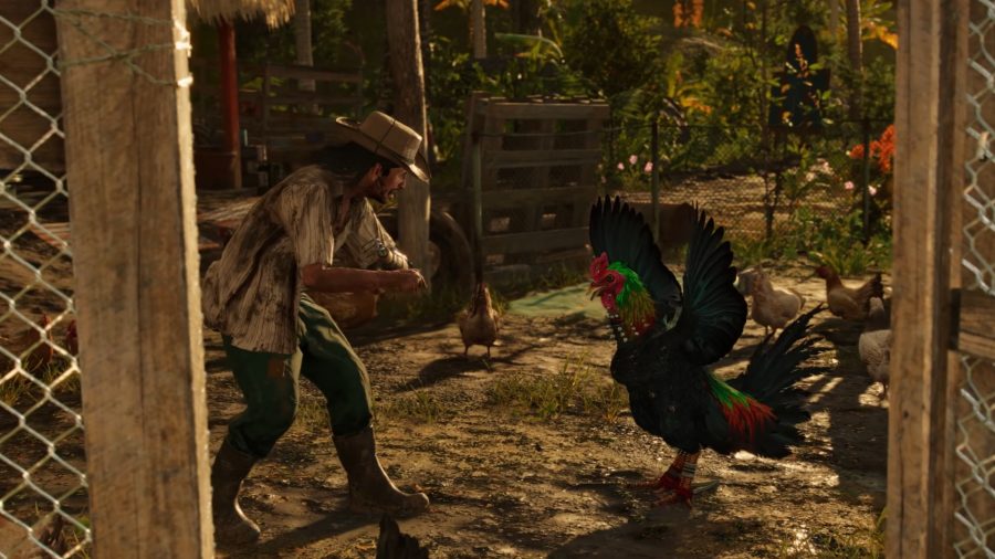 The aggressive rooster, Chicharrón, flapping his wings in Far Cry 6