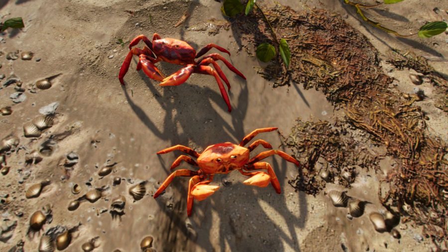 Two crabs dance on the sand of Far Cry 6's beaches