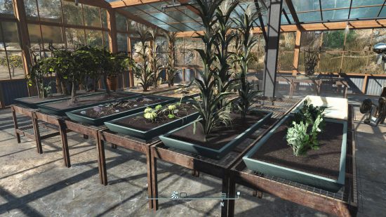 Best Fallout 4 mods: A thriving greenhouse containing an assortment of plants