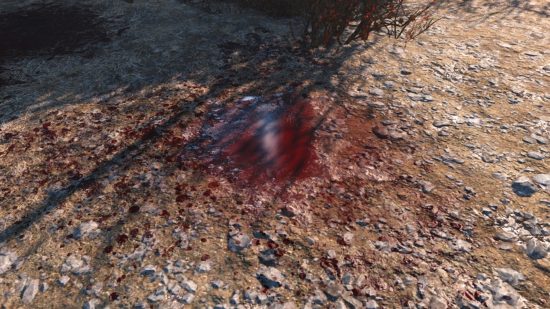 Best Fallout 4 mods: An artfully rendered bloodstain on a dirt path