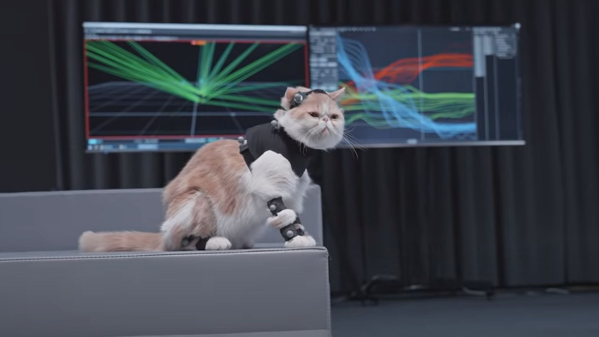 Here's a very silly look at Black Myth: Wukong's mocap tech, with cats
