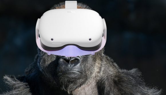 Gorilla wearing Oculus Quest 2 VR headset
