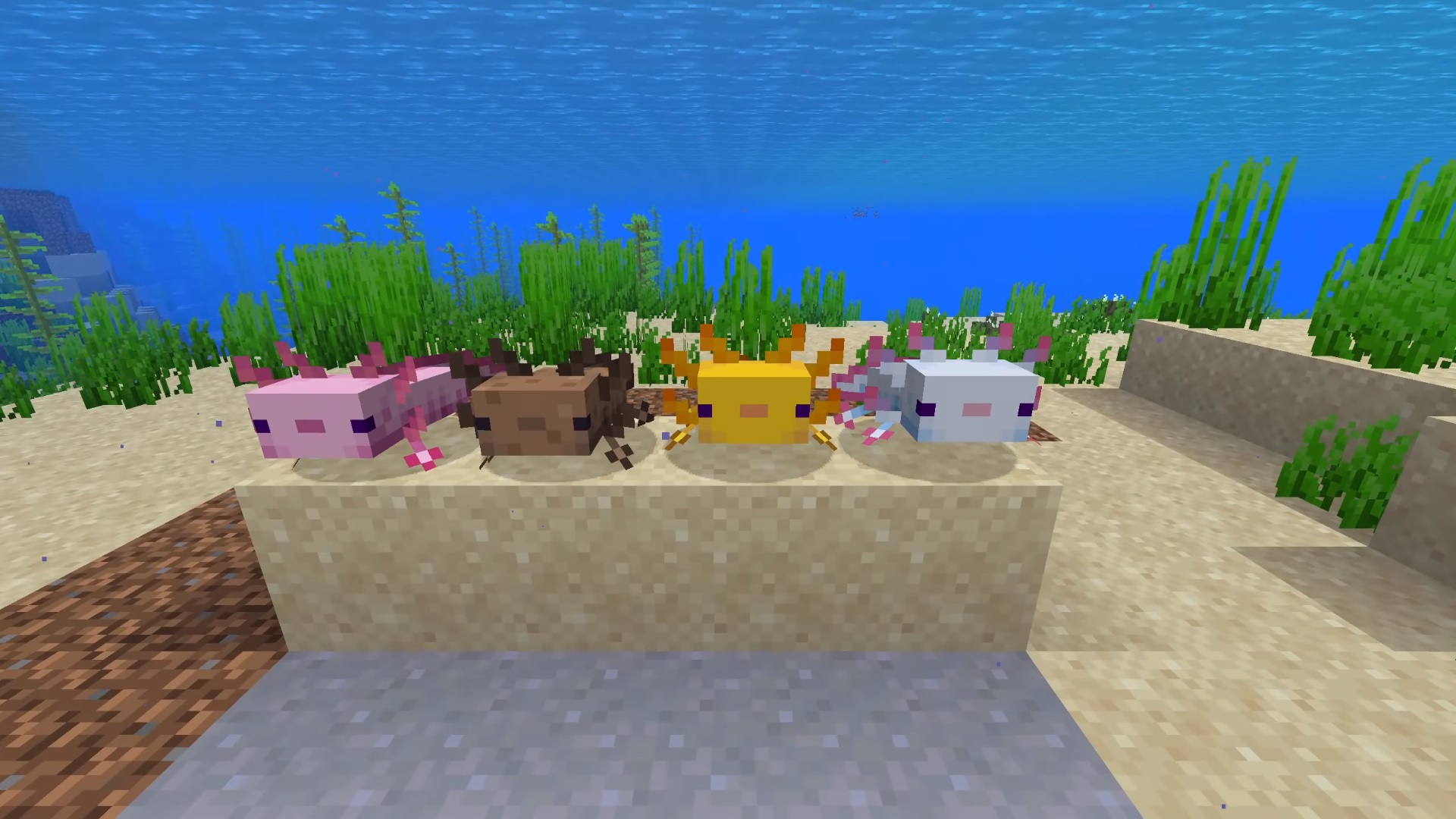 Minecraft mod turns axolotls into yeetable explosives