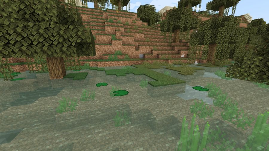 A small lake in the middle of a swamp, one of the many biomes in Minecraft