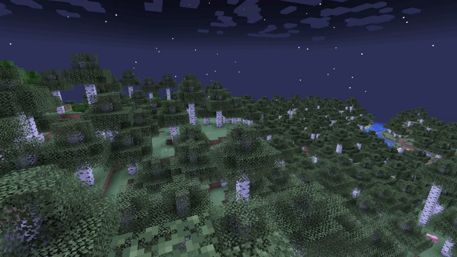 A wooded hill, also known as taiga, one of many Minecraft biomes