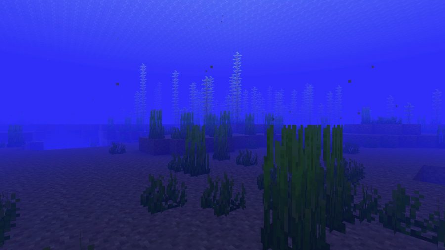 A shot of the deep ocean, one of many biomes in Minecraft