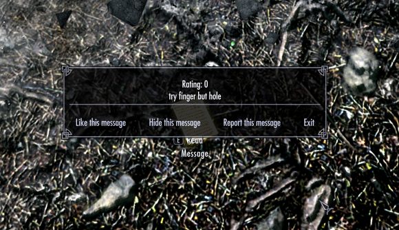 Tasteful comments such as this one are now available thanks to this Skyrim player messages mod