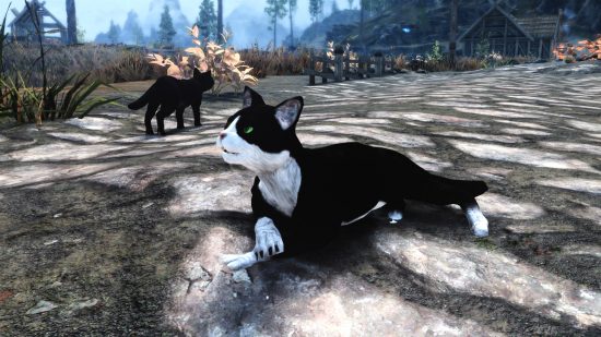 A bunch of relaxing cats star in this Skyrim mod, A Cat's Life 2.0