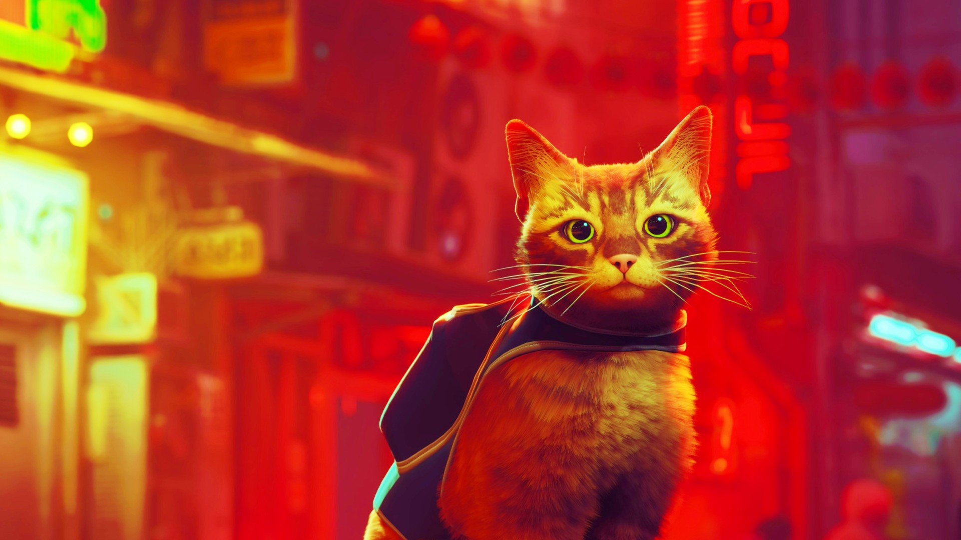 This Stray backpack turns your cat into a cosplayer