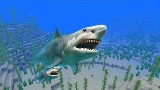 A Minecraft ocean with a big old shark in front of it with a little baby shark under it's fin