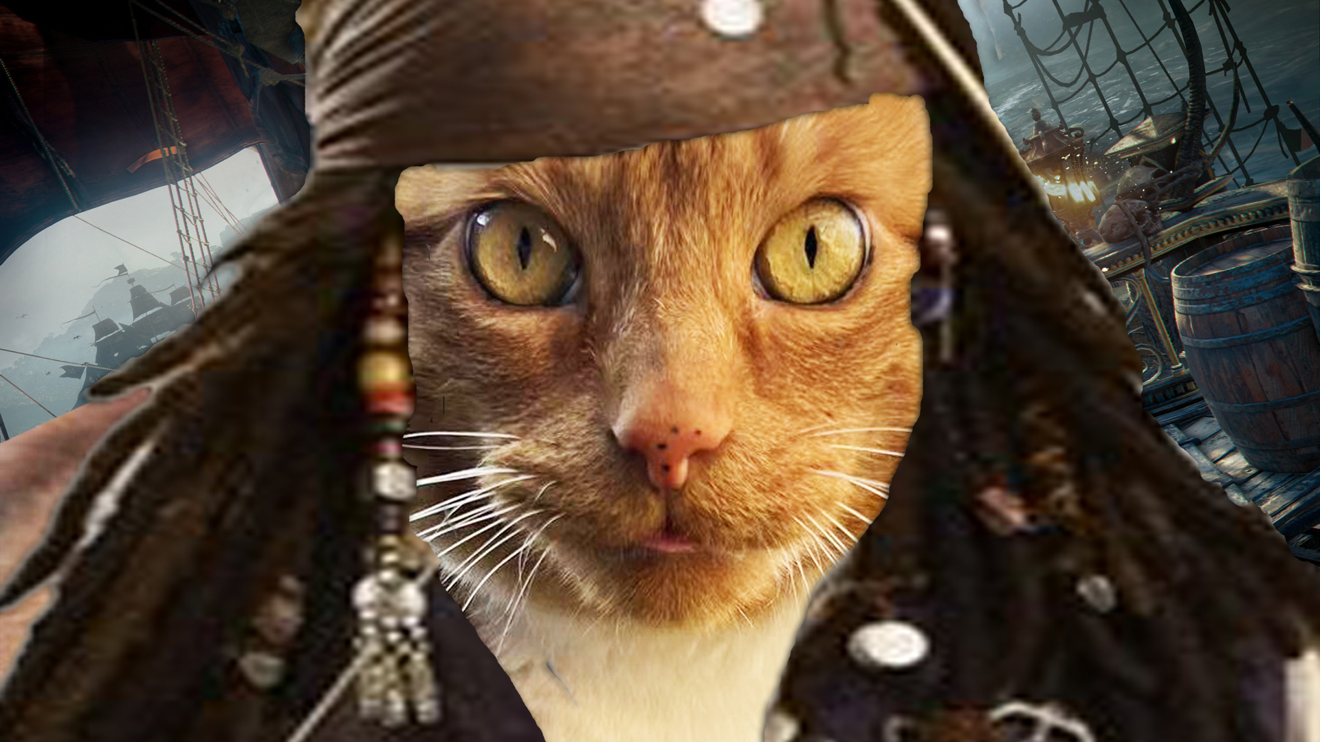 Skull and Bones has pets, including pirate cats