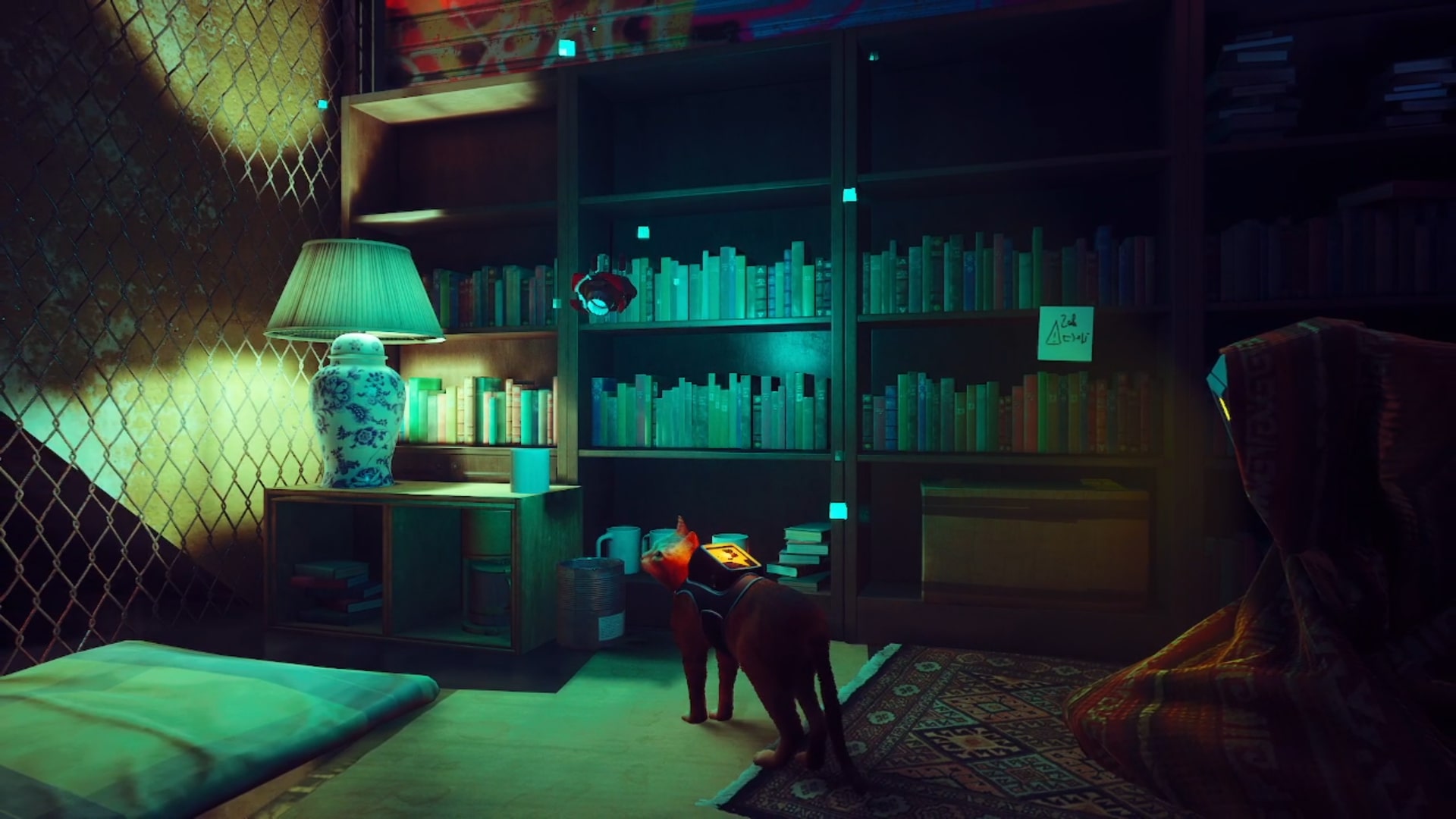 Stray memories guide: The orange tabby standing in front of four bookcases half-filled with books, while a robot swaddled in a blanket sits on a nearby rug