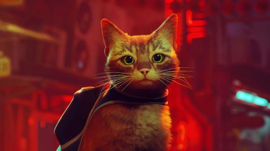 Stray Review: The orange tabby starring in BlueTwelve Studio's action-adventure cat game sat facing the camera, wearing the black backpack housing B-12, his robot companion