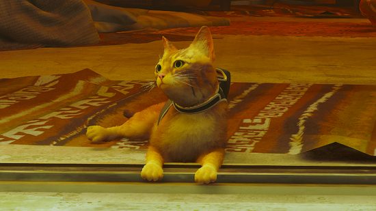 Cat Expert Analyzes the Cat in Video Game