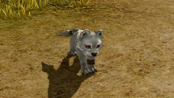 ArcheAge Wolf Pup