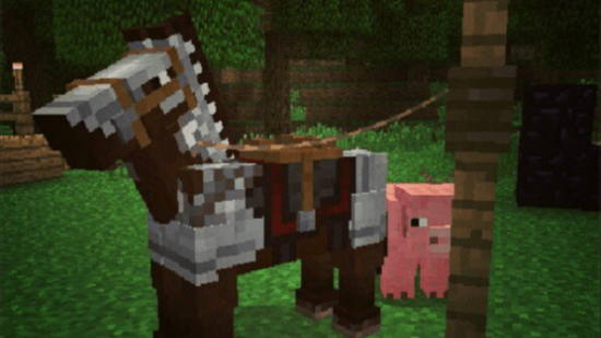 Minecraft_Horses