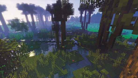 Minecraft forest