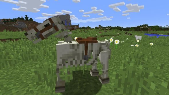 Minecraft skeleton horse