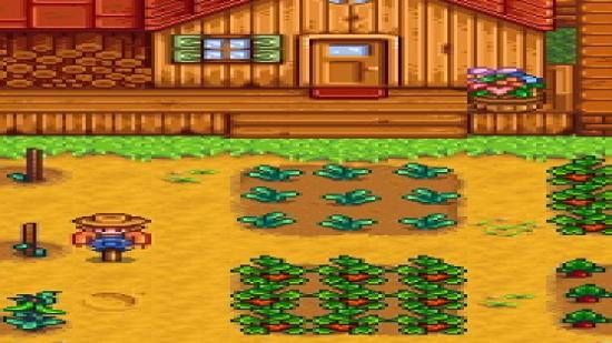 A well tended farm in Stardew Valley, one of the best management games
