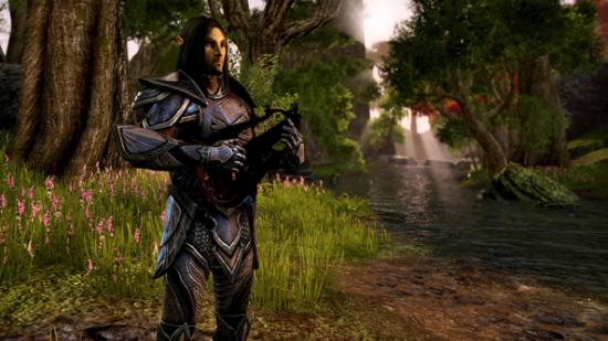 Progression will not end at level 50, Zenimax Online have said.